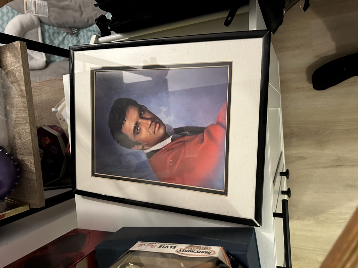 Elvis Presley Collectibles image indicator(2)