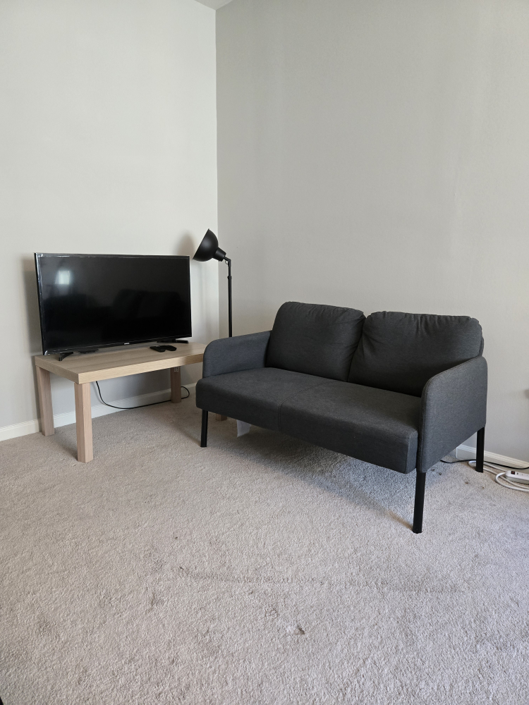 Free TV & IKEA love seat