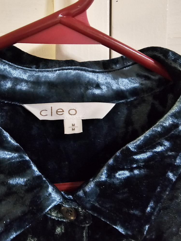 Cleo Velvet Button Down Shirt with two pockets image indicator(2)