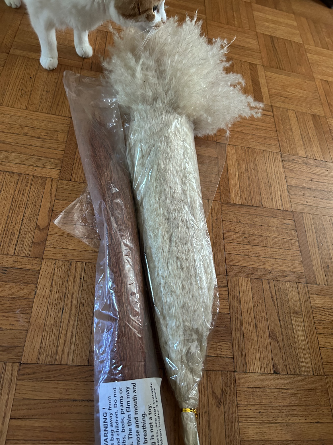 New Pampas Grass (Cream & Copper) image indicator(2)