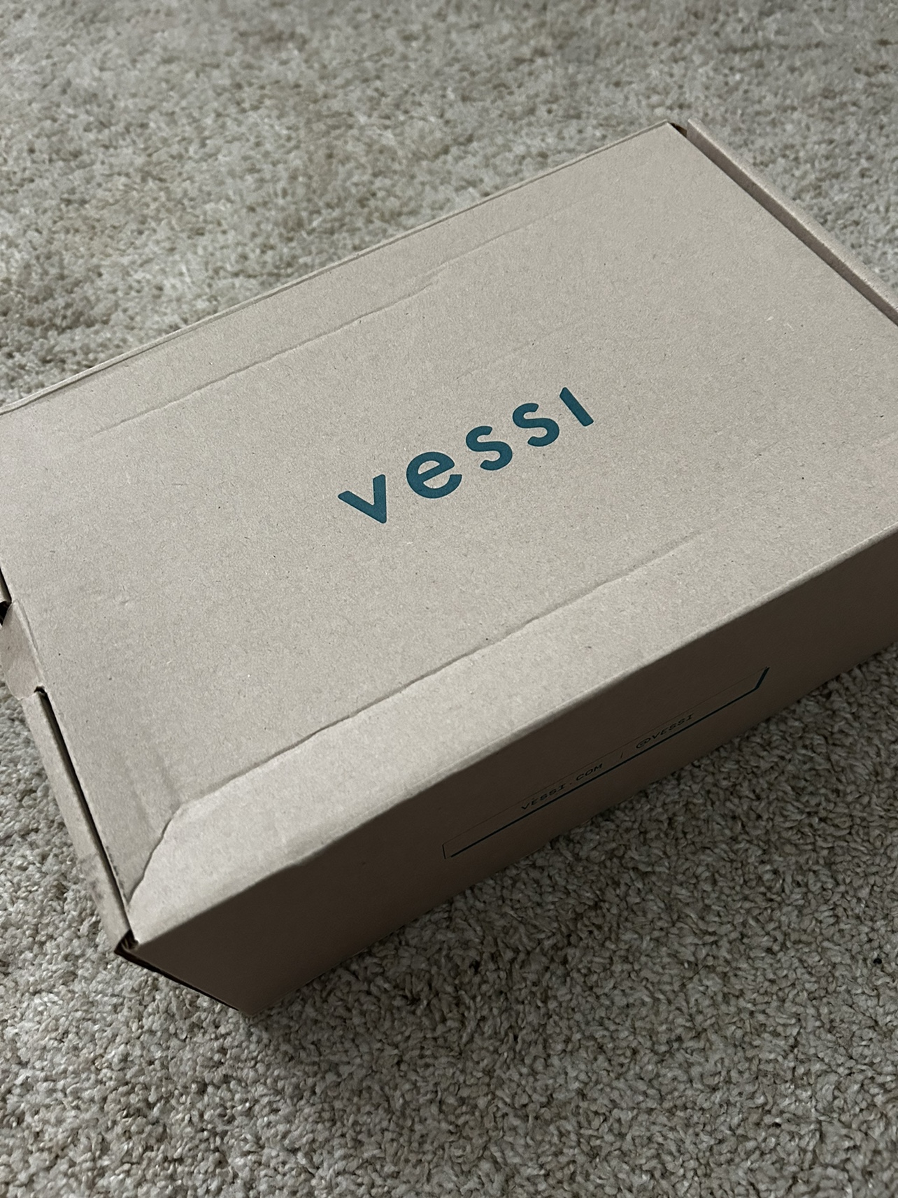 Vessi Runner