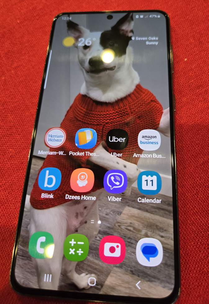 Samsung Galaxy S21 5G - photo 3
