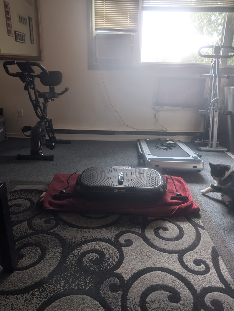 LifePro Vibration Plate