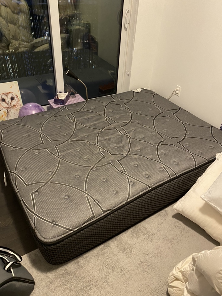 MOVING SALE Sealy Posturepedic Queen Mattress