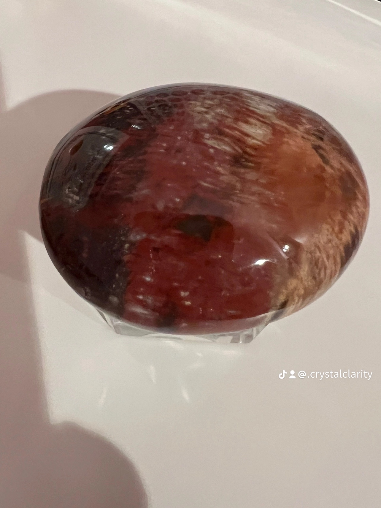 Petrified Wood Palmstone - photo 2