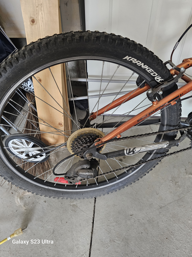 Kranked Up Mountain Bike image indicator(2)