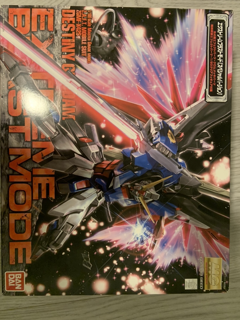 BNIB Mg Destiny extreme blast mode
