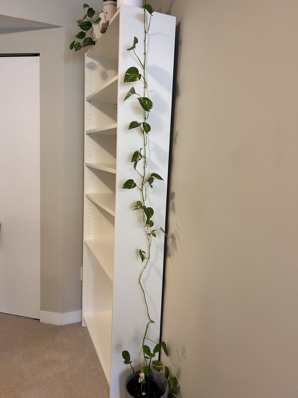 White Bookcase - photo 3