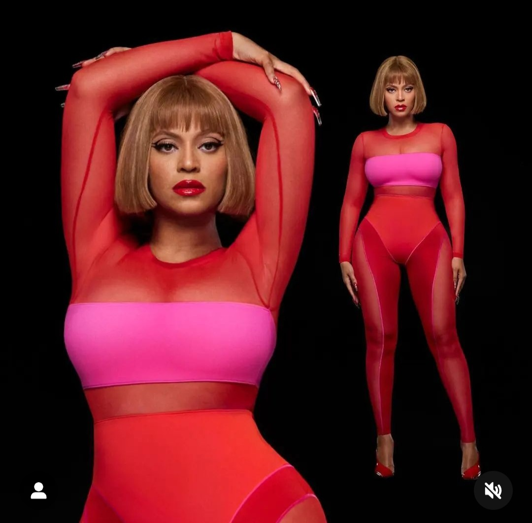 Ivy Park Ladies Catsuit image indicator(2)