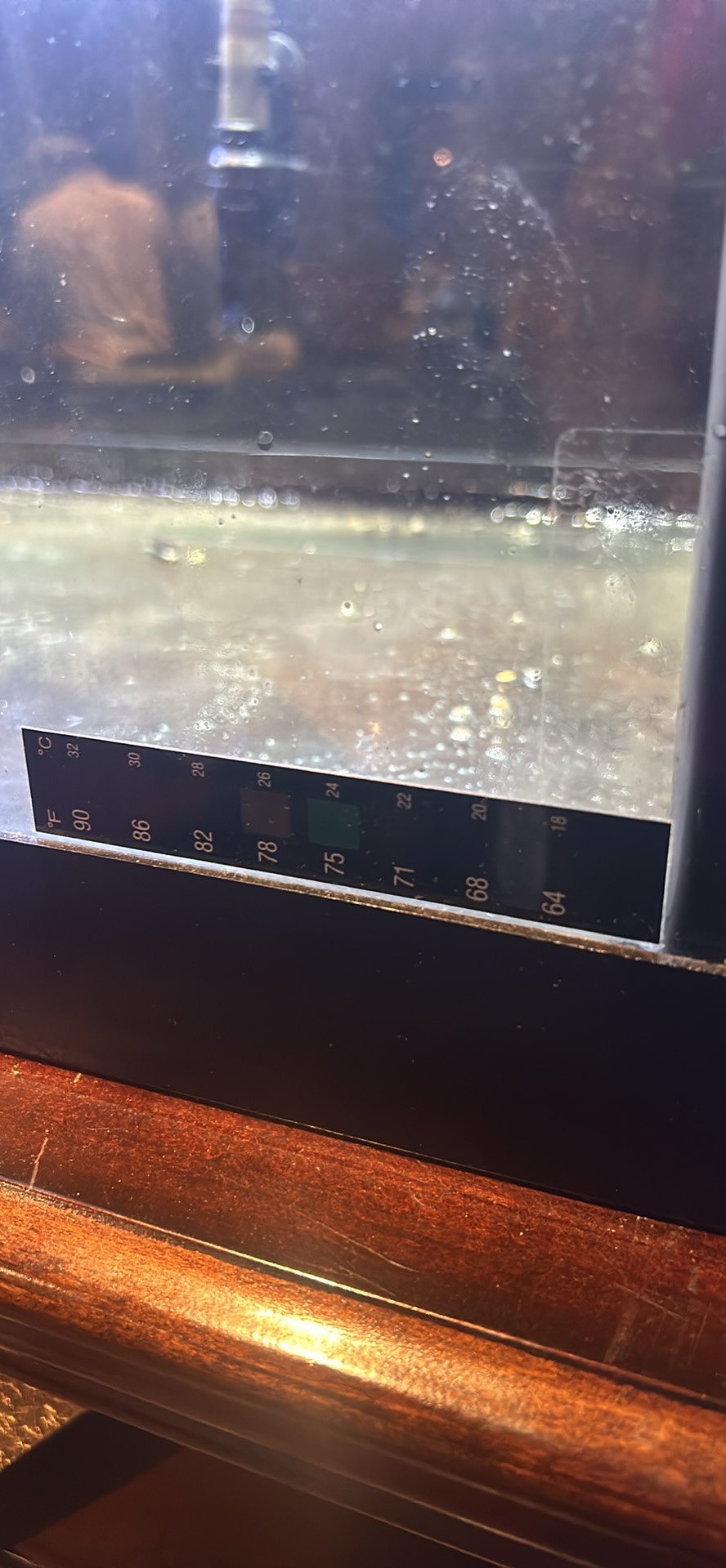 75 Gallon Aquarium Tank - photo 2