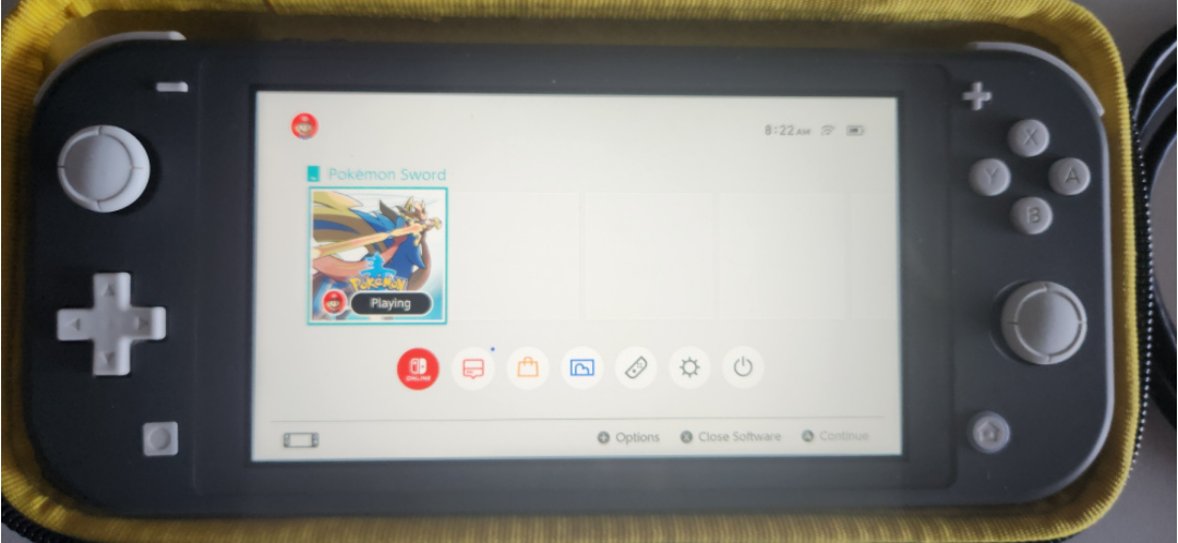 Nintendo Switch Lite grey with case - photo 3