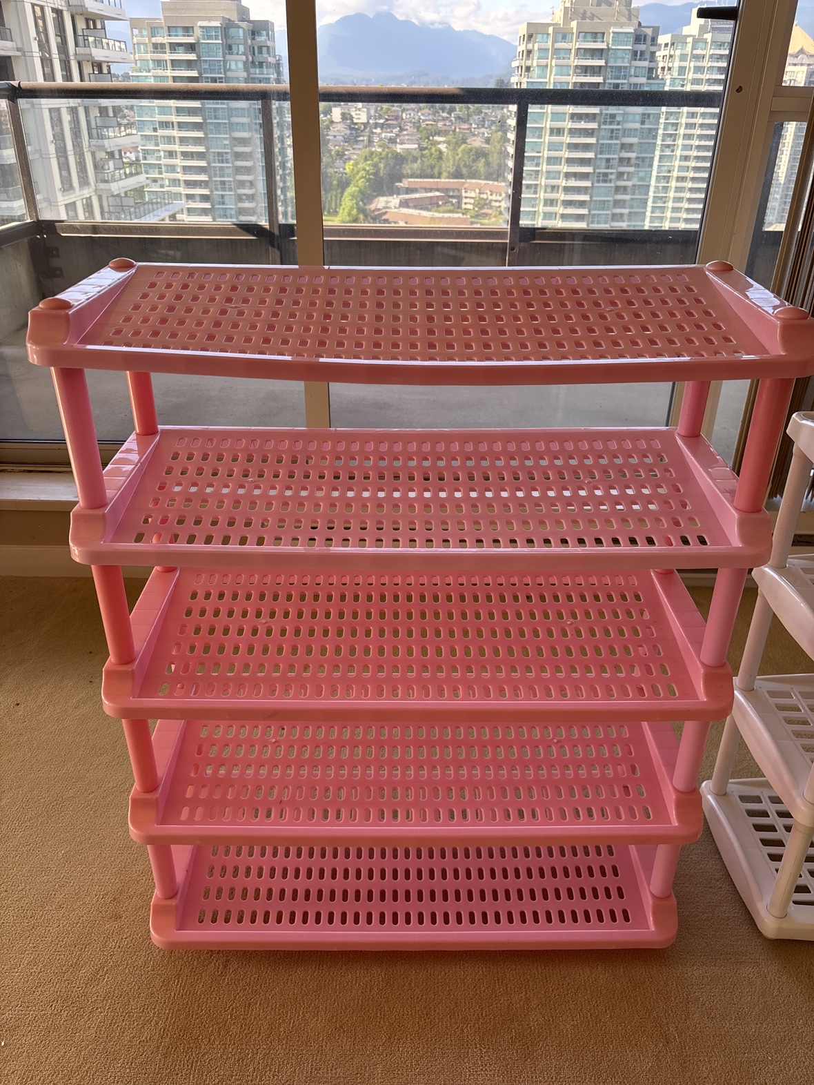 Pink plastic rack