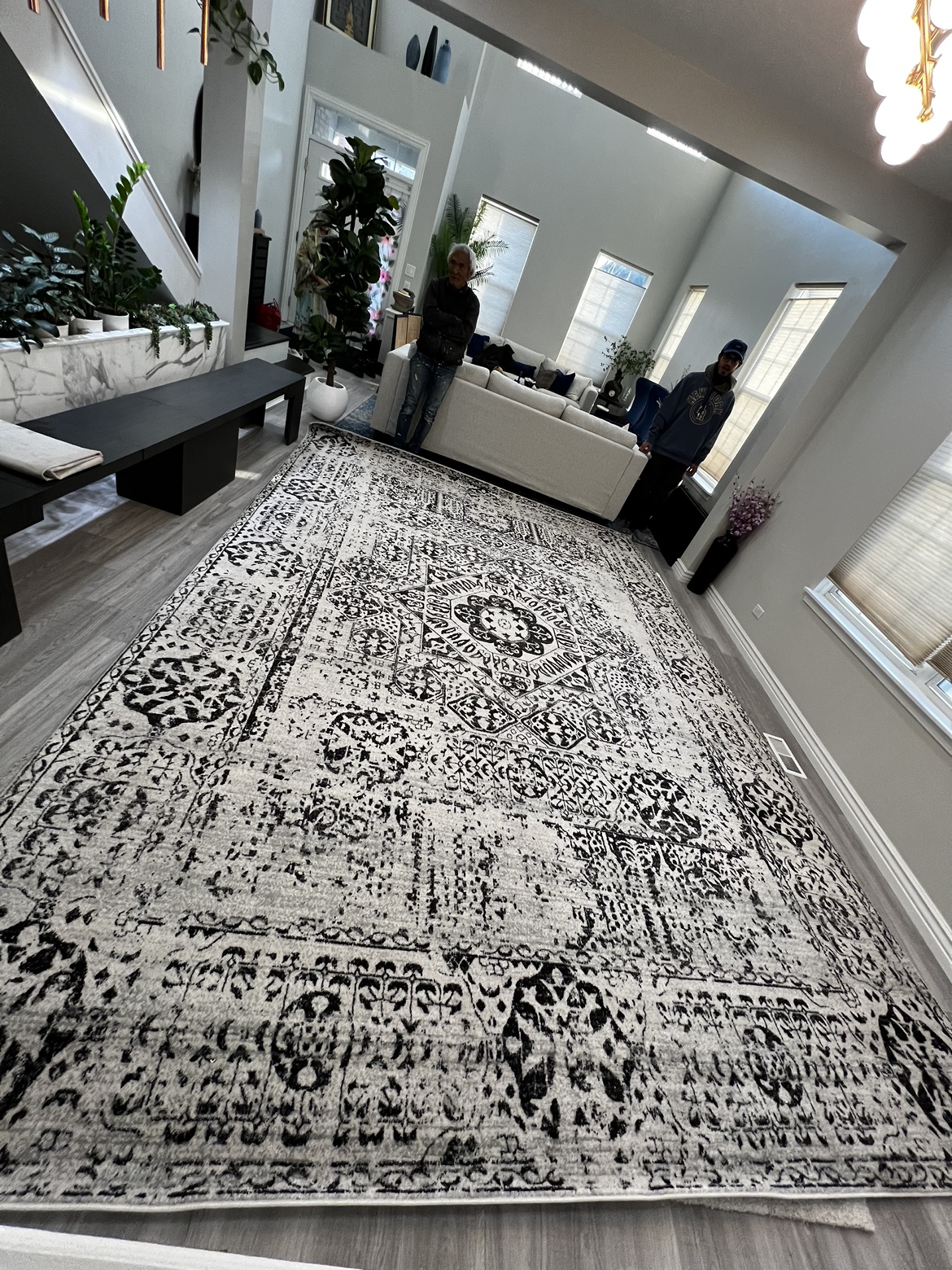 Evoke Ivory/Black 10 ft. x 14 ft. Area Rug by SAFAVIEH - photo 2