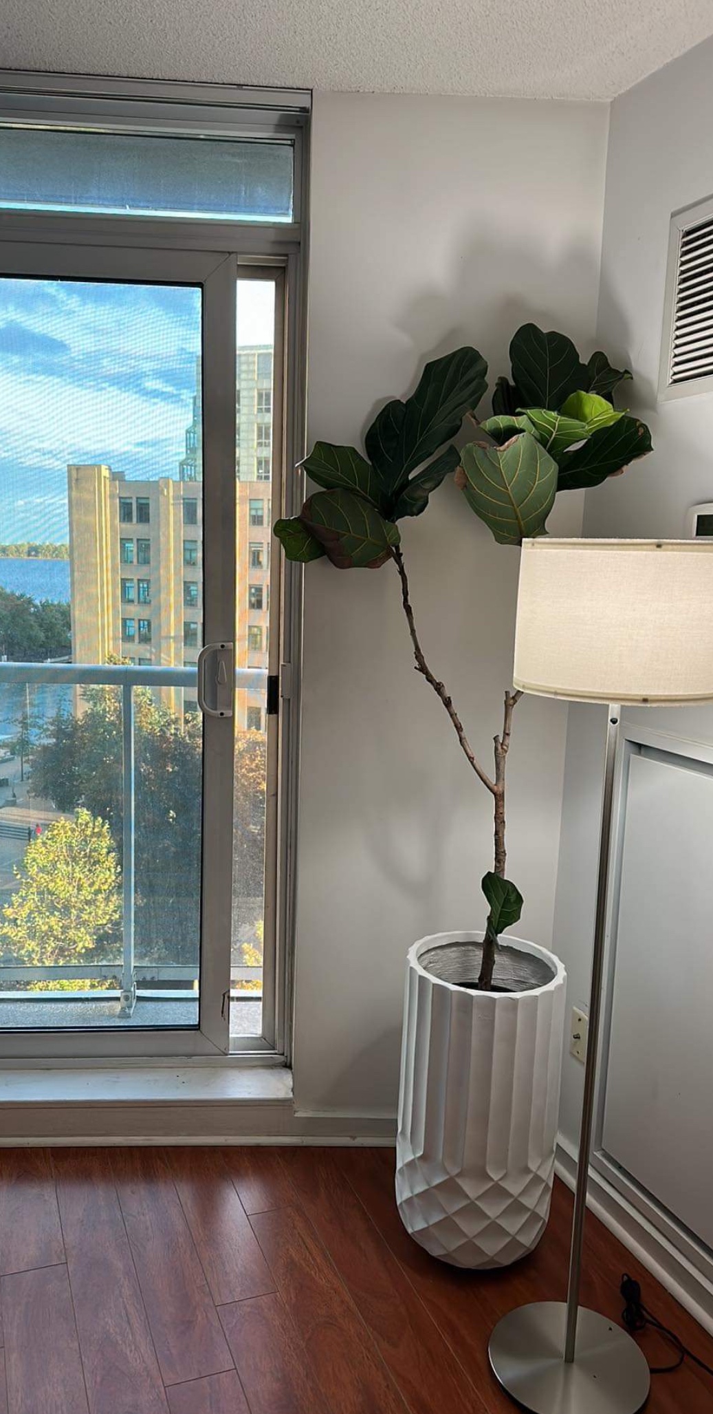 White 13" pot