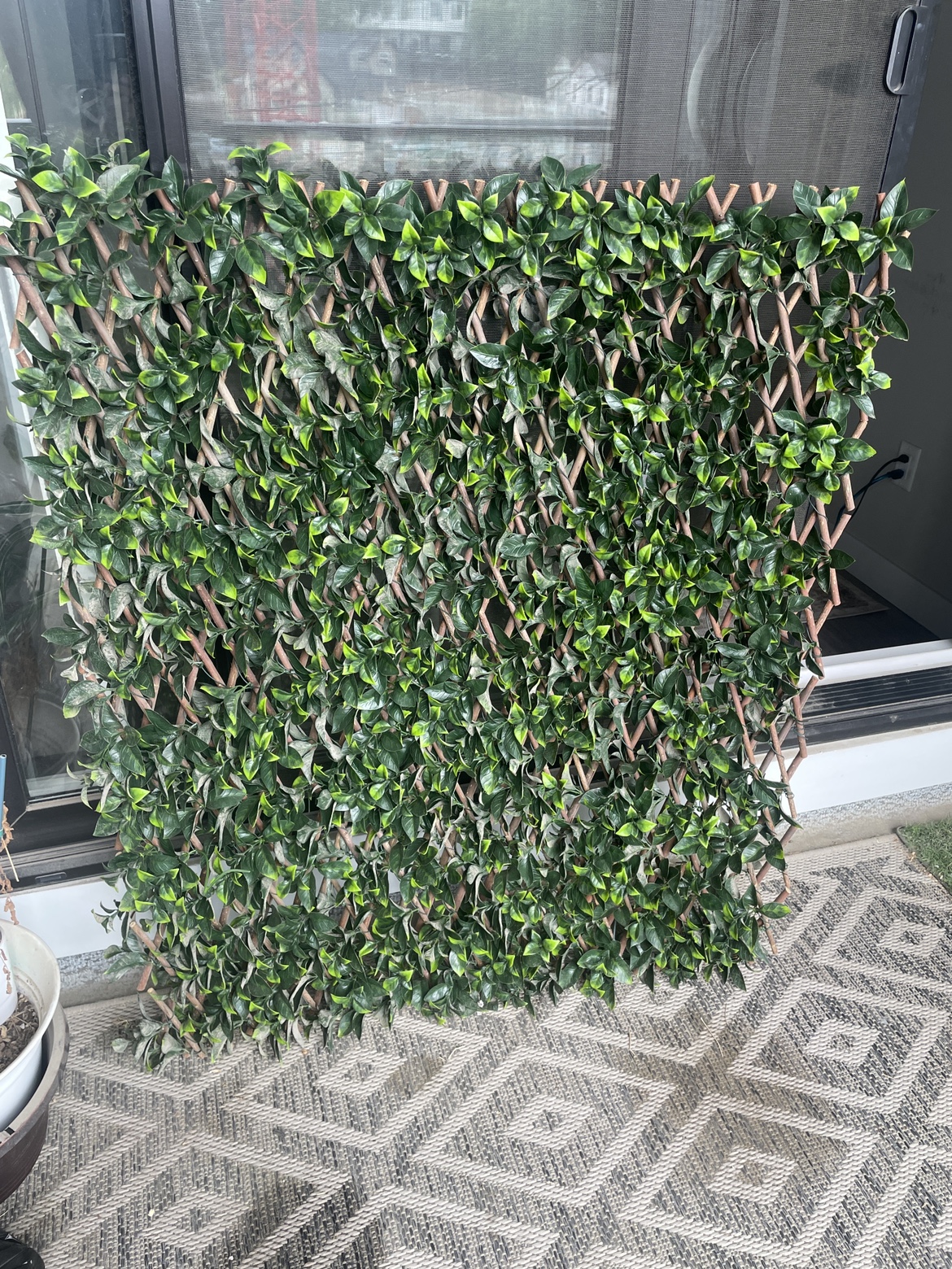 Plant Privacy Screen for Balcony