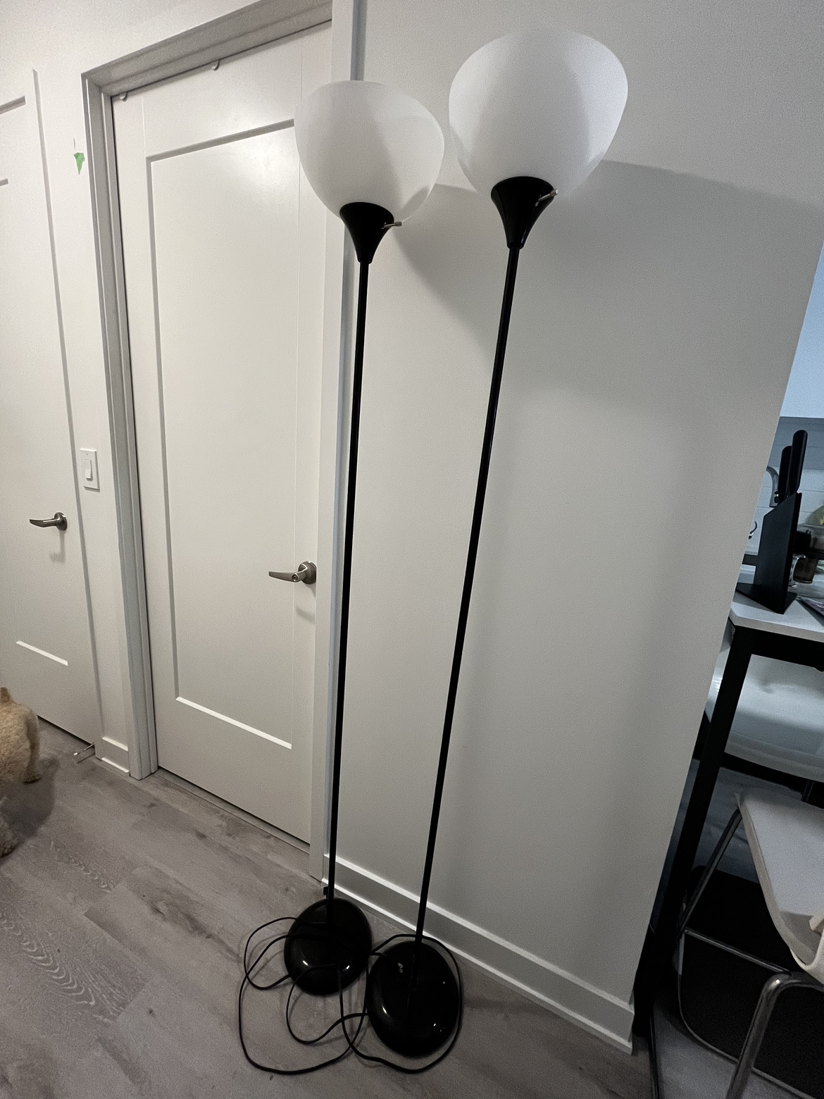 Floor lamps (with bulbs) thumbnail