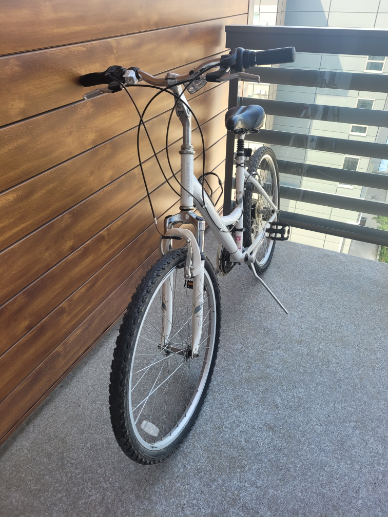 Nishiki -Shimano Equipped, Women's Bike