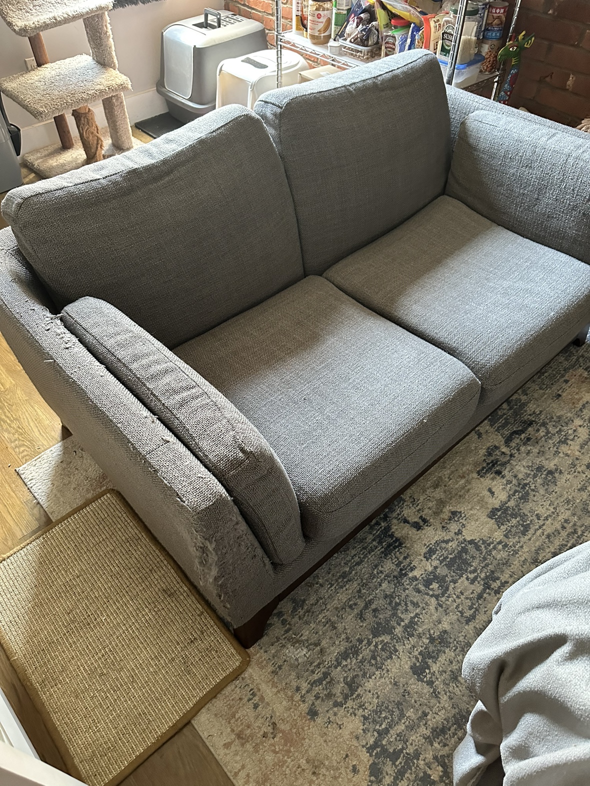 article ceni loveseat couch