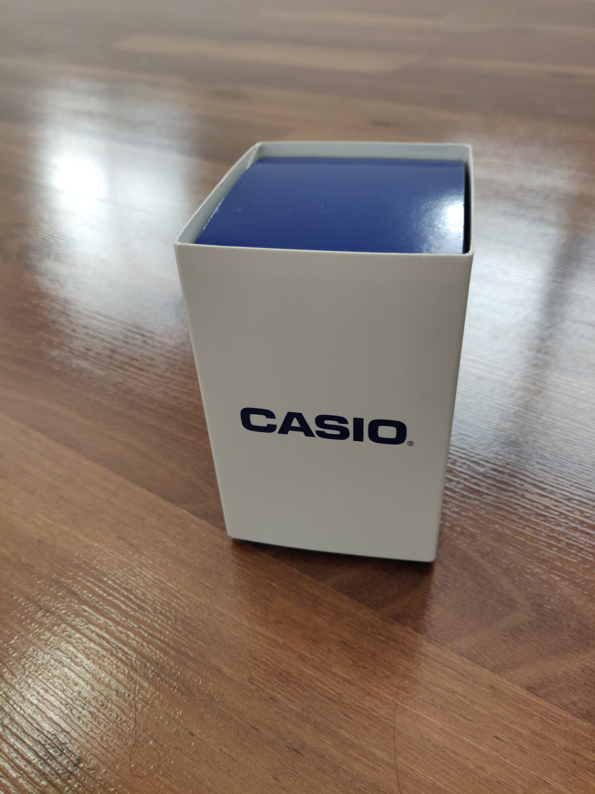 Casio Watch image indicator(7)