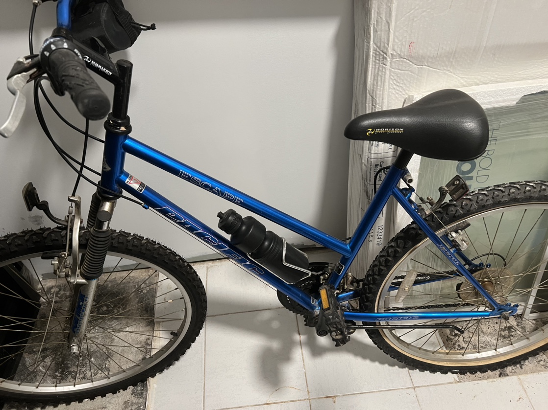 Pacific Escape Mountain Bike