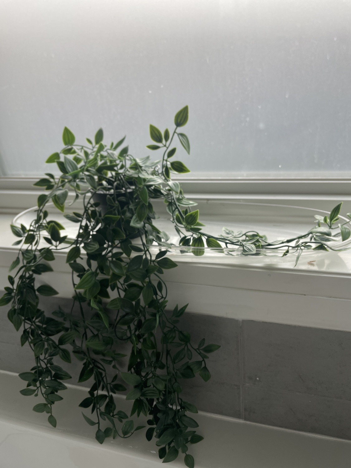 Fake plant and oval glass for only $10