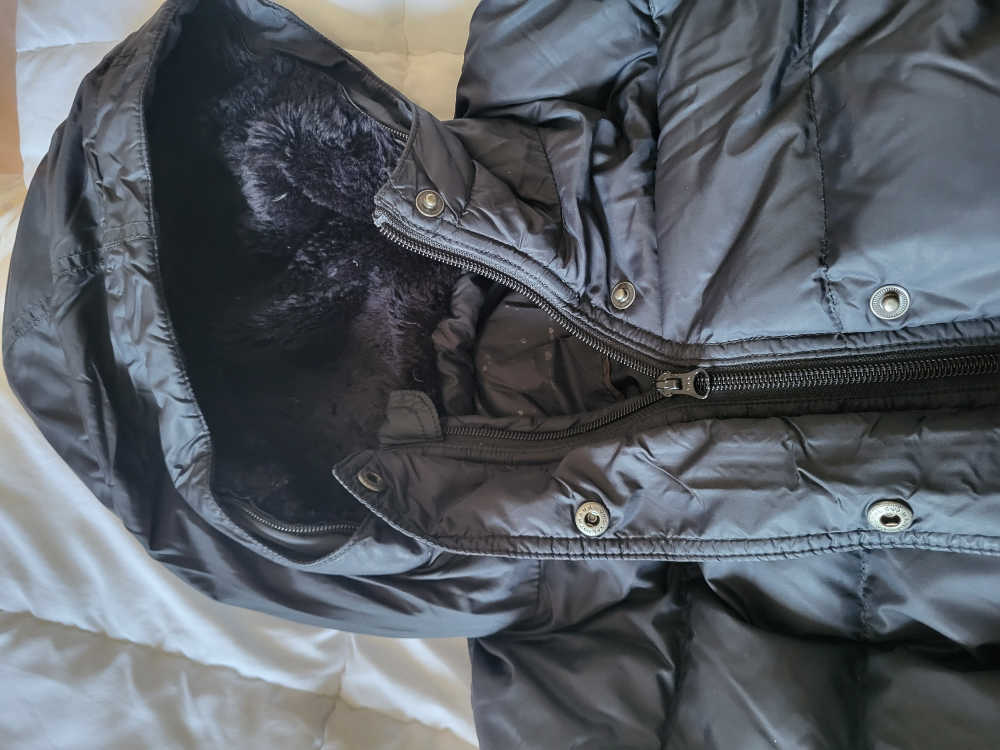 Black Puffer Jacket (women) image indicator(3)