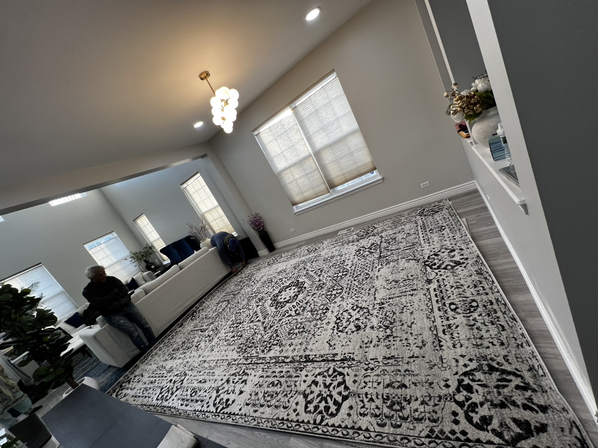 Evoke Ivory/Black 10 ft. x 14 ft. Area Rug by SAFAVIEH - photo 4