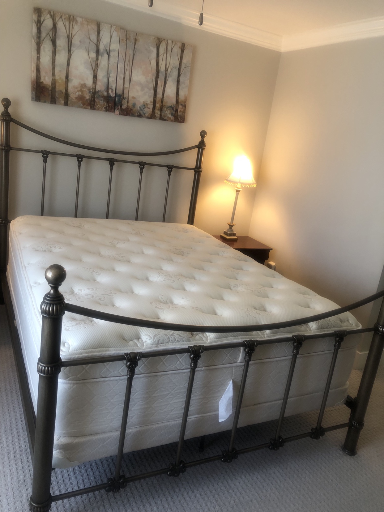 Queen Bed frame and Queen mattress