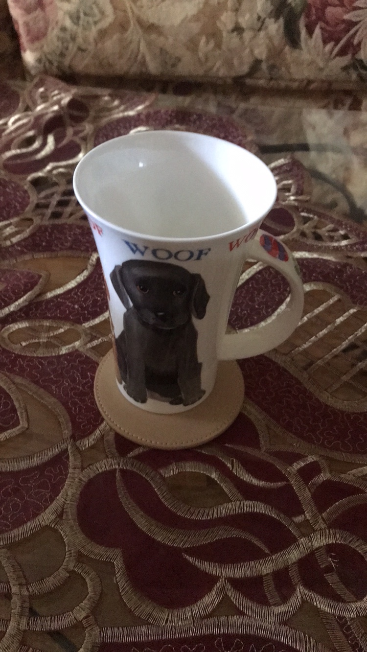 Michael Kors Coaster Set image indicator(4)