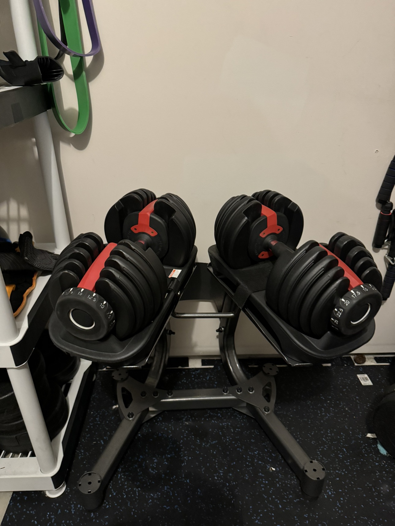 Adjustable Dumbbells with Stand