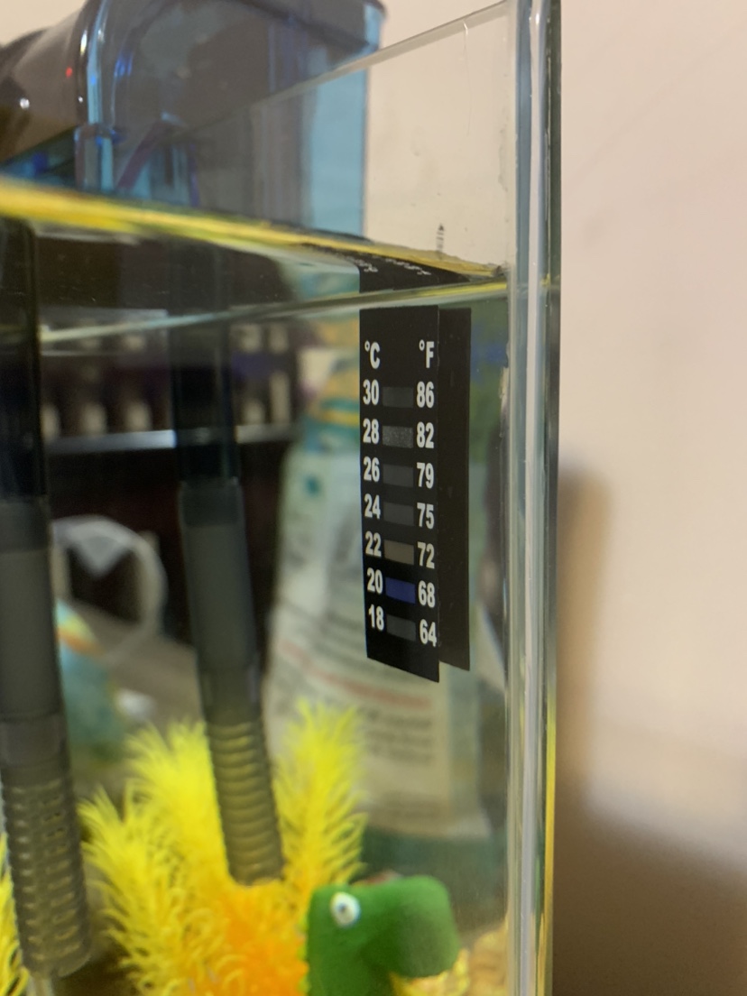 2 Gallon Fish Tank - photo 2