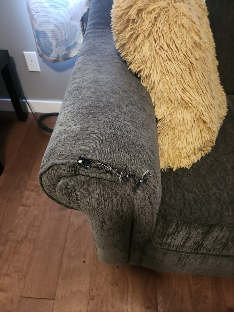 couch - photo 2
