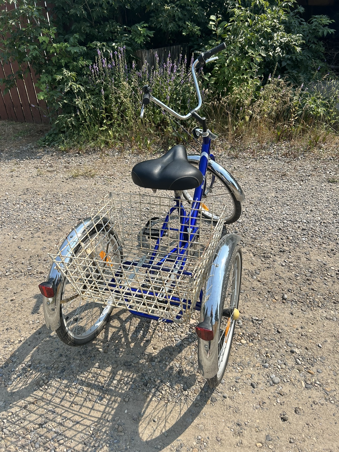 Parklane Adult Tricycle with Basket image indicator(3)