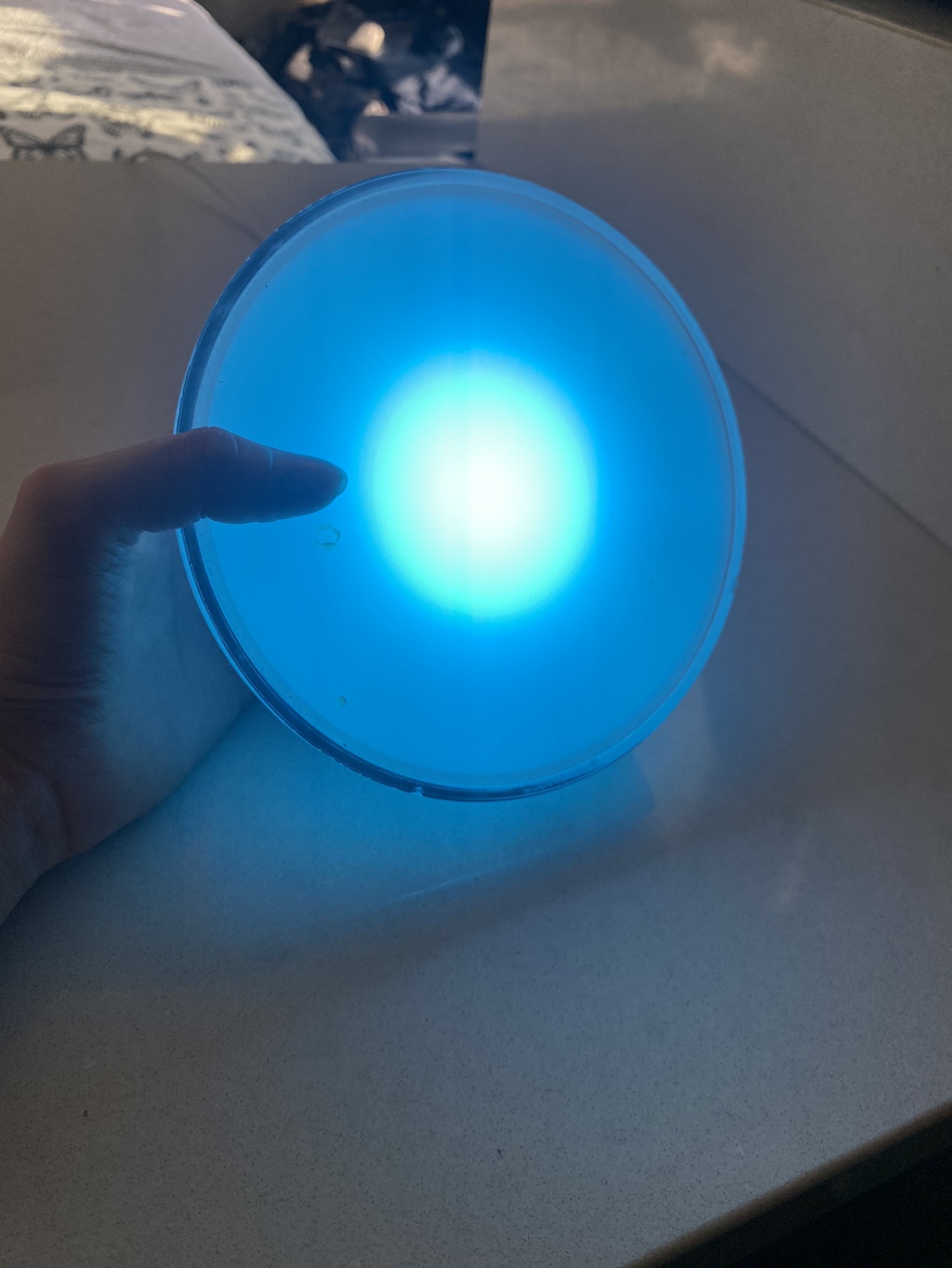 Philips HUE GO smart light Bluetooth LED - photo 5