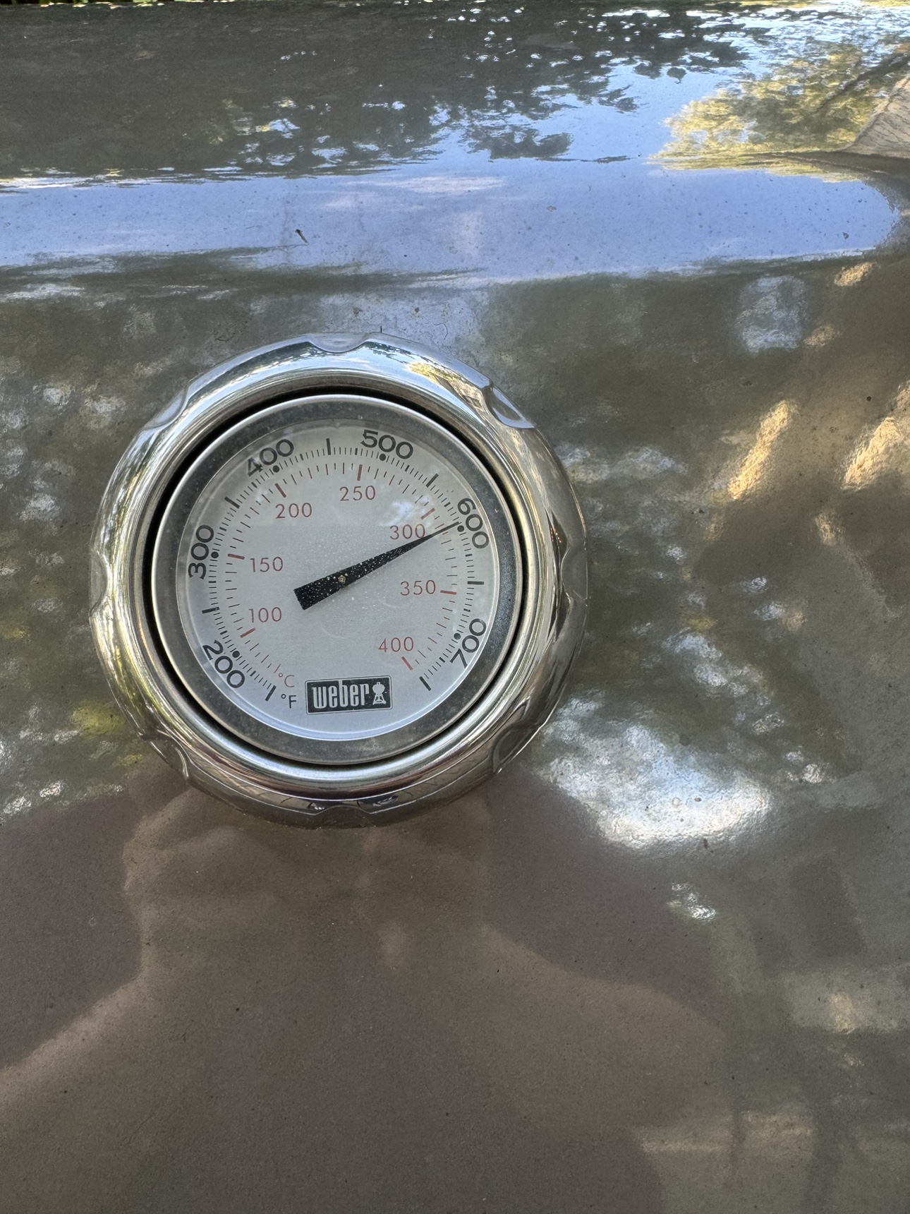 Weber Genesis Special Edition - photo 3