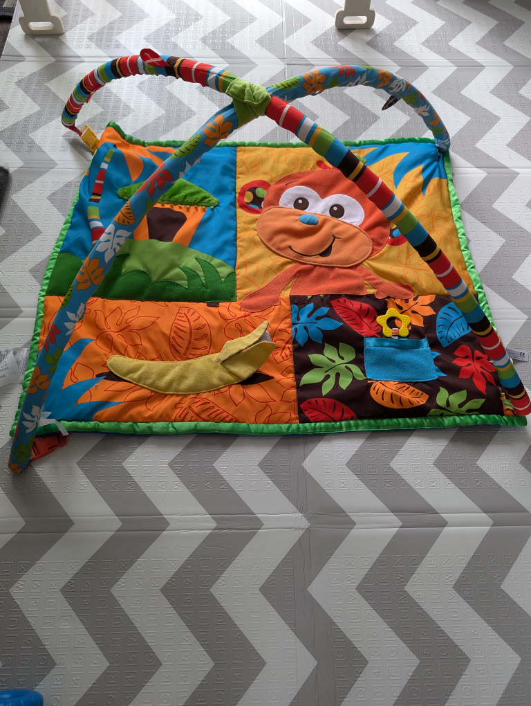 free Baby Play Mat (missing hanging toys)