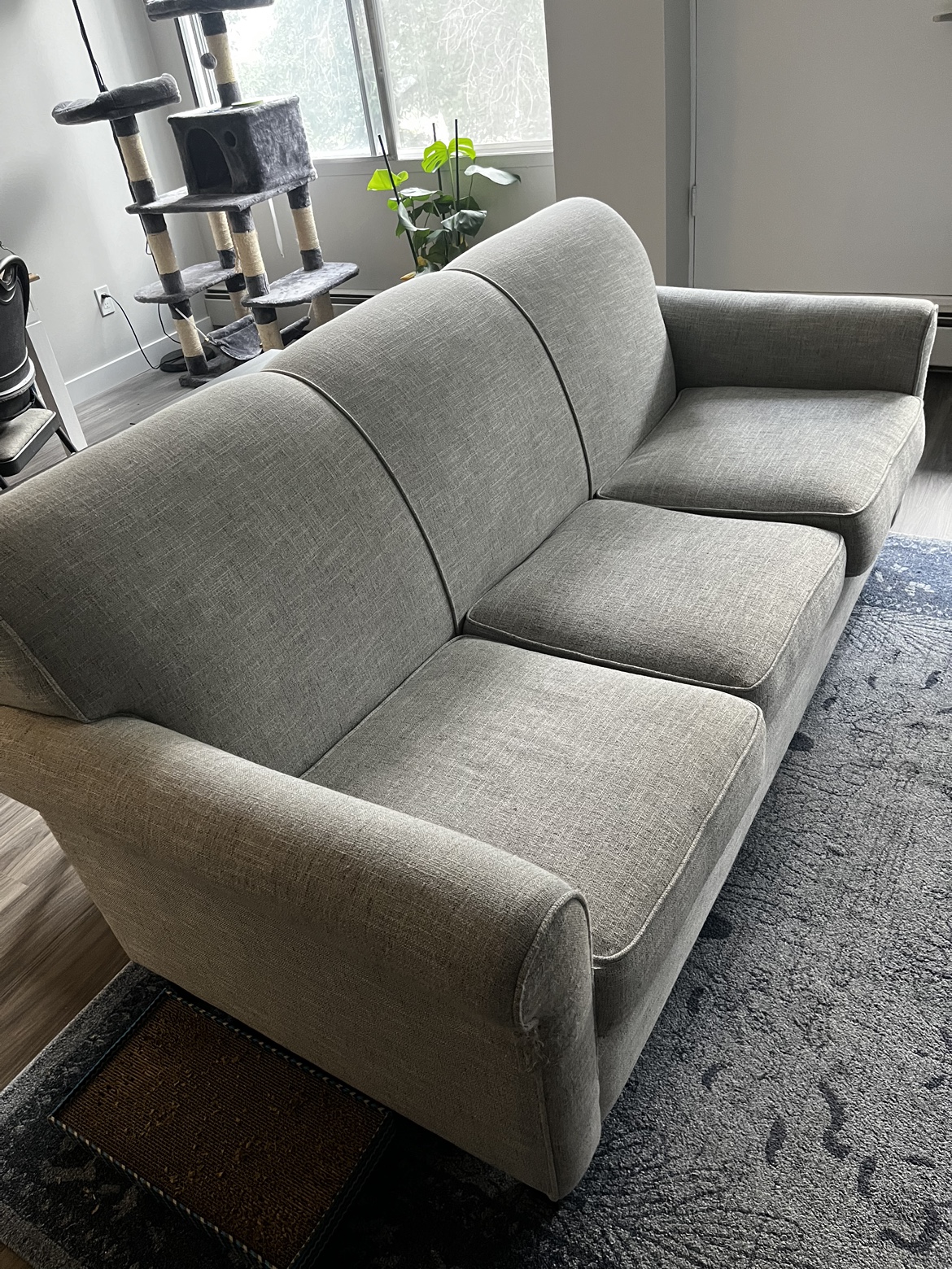 Apartment sized sofa