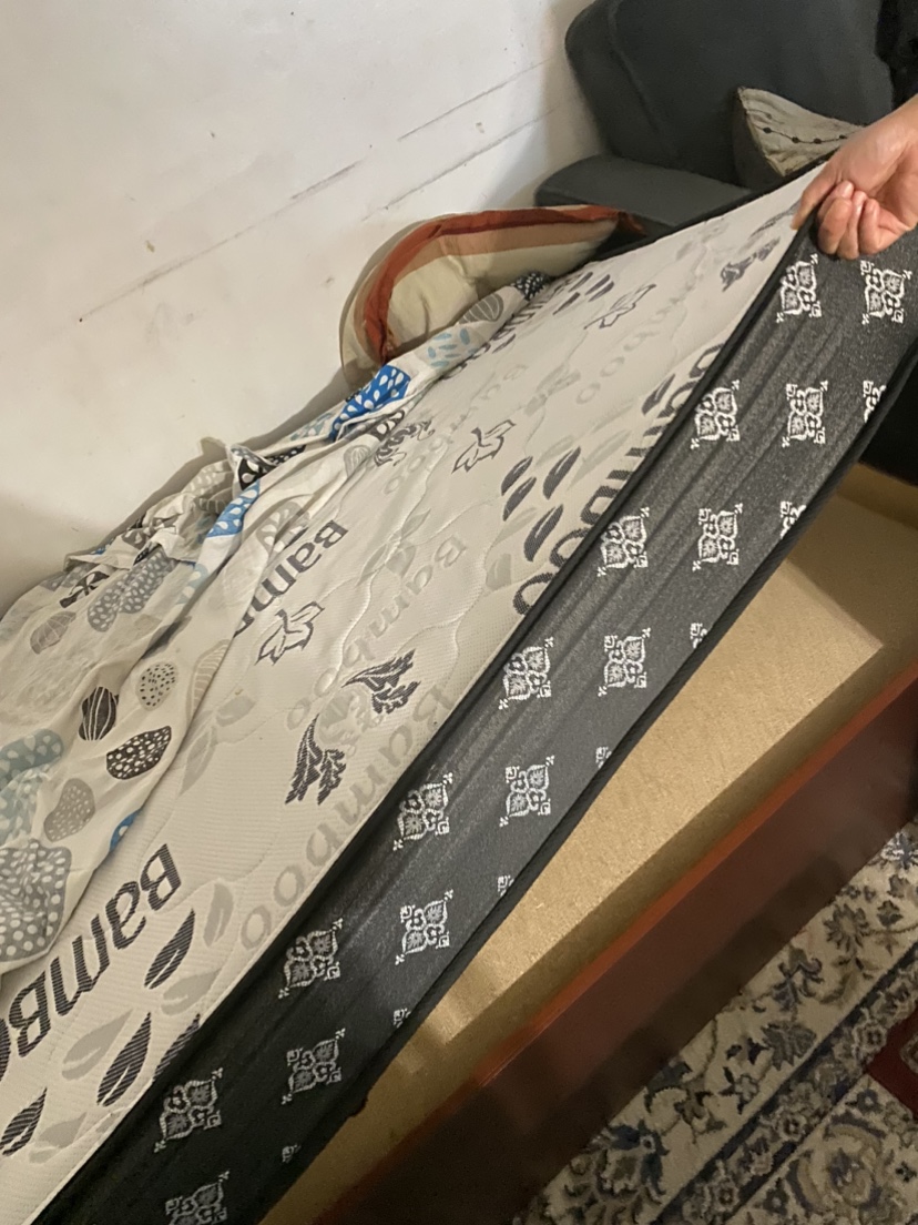 Twin Mattress For Sale! image indicator(3)