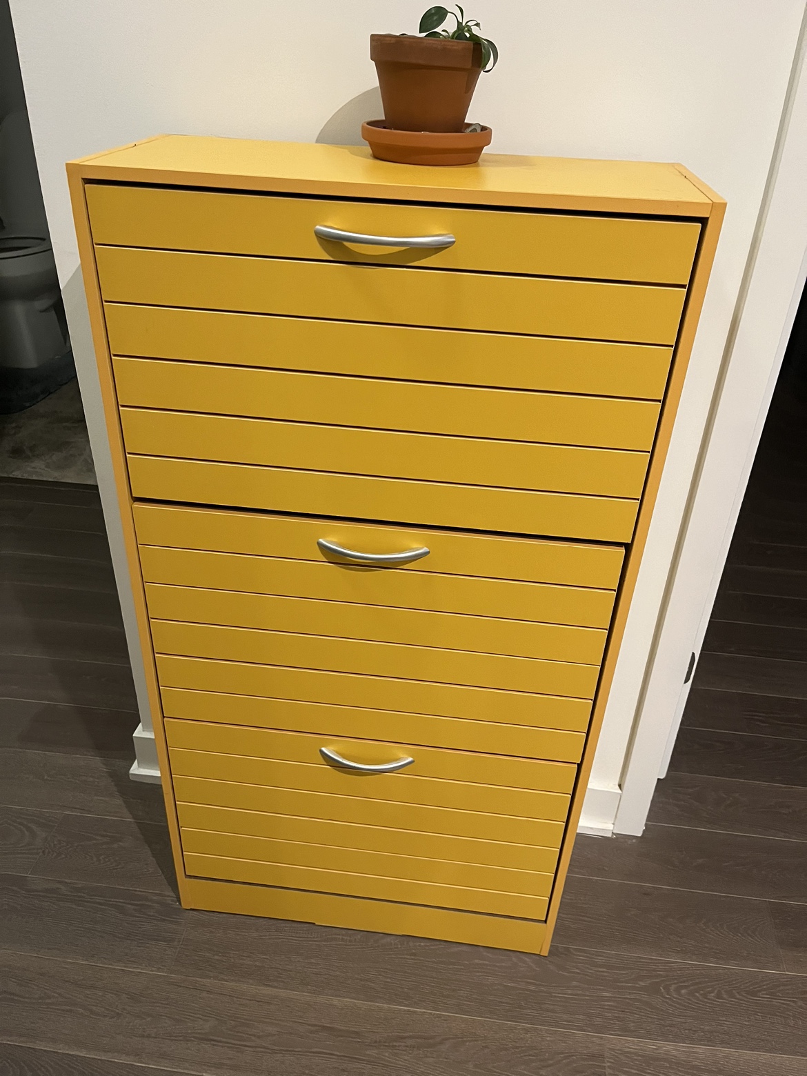 Yellow Shoe Shelf