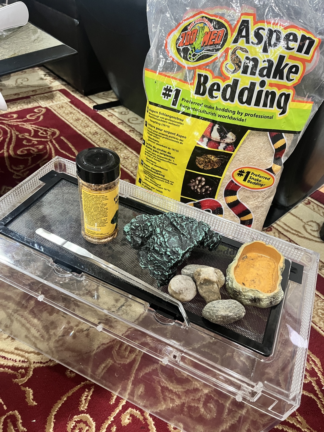 Reptile Growth Reptile Terrarium