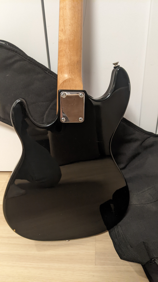 S101 Guitar - photo 5