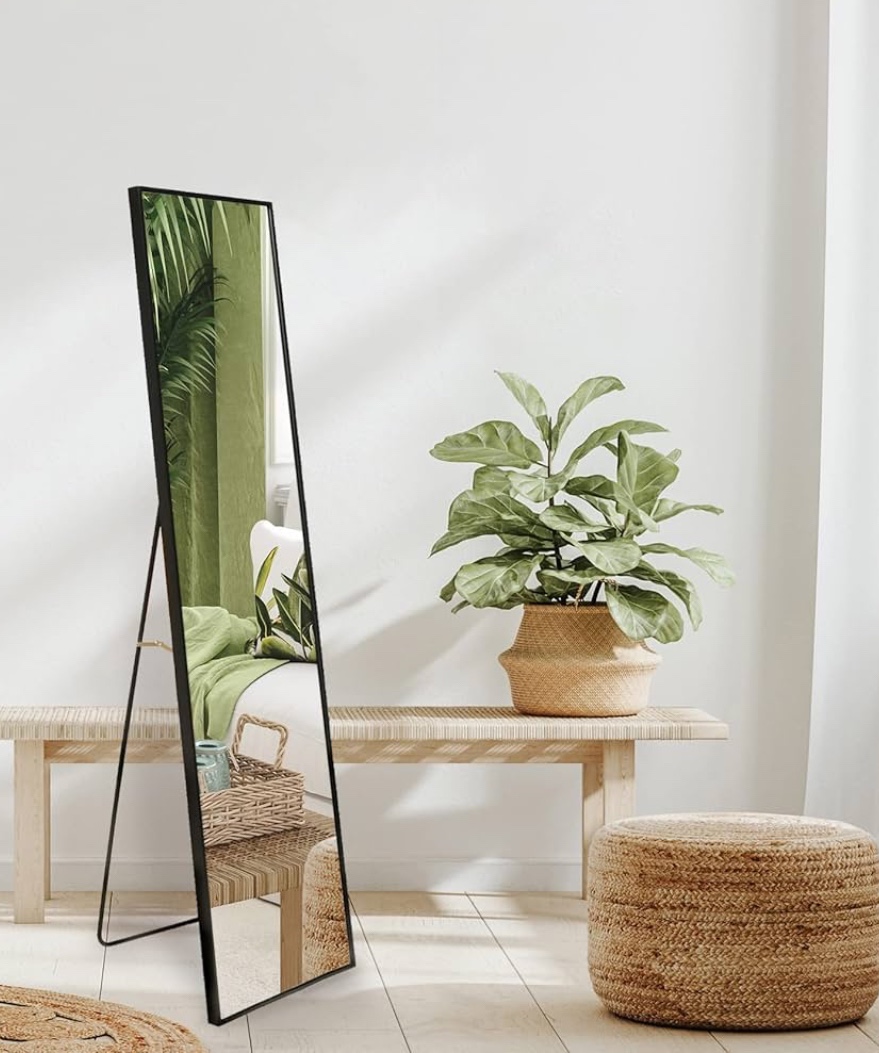 Full-length mirror (almost new)
