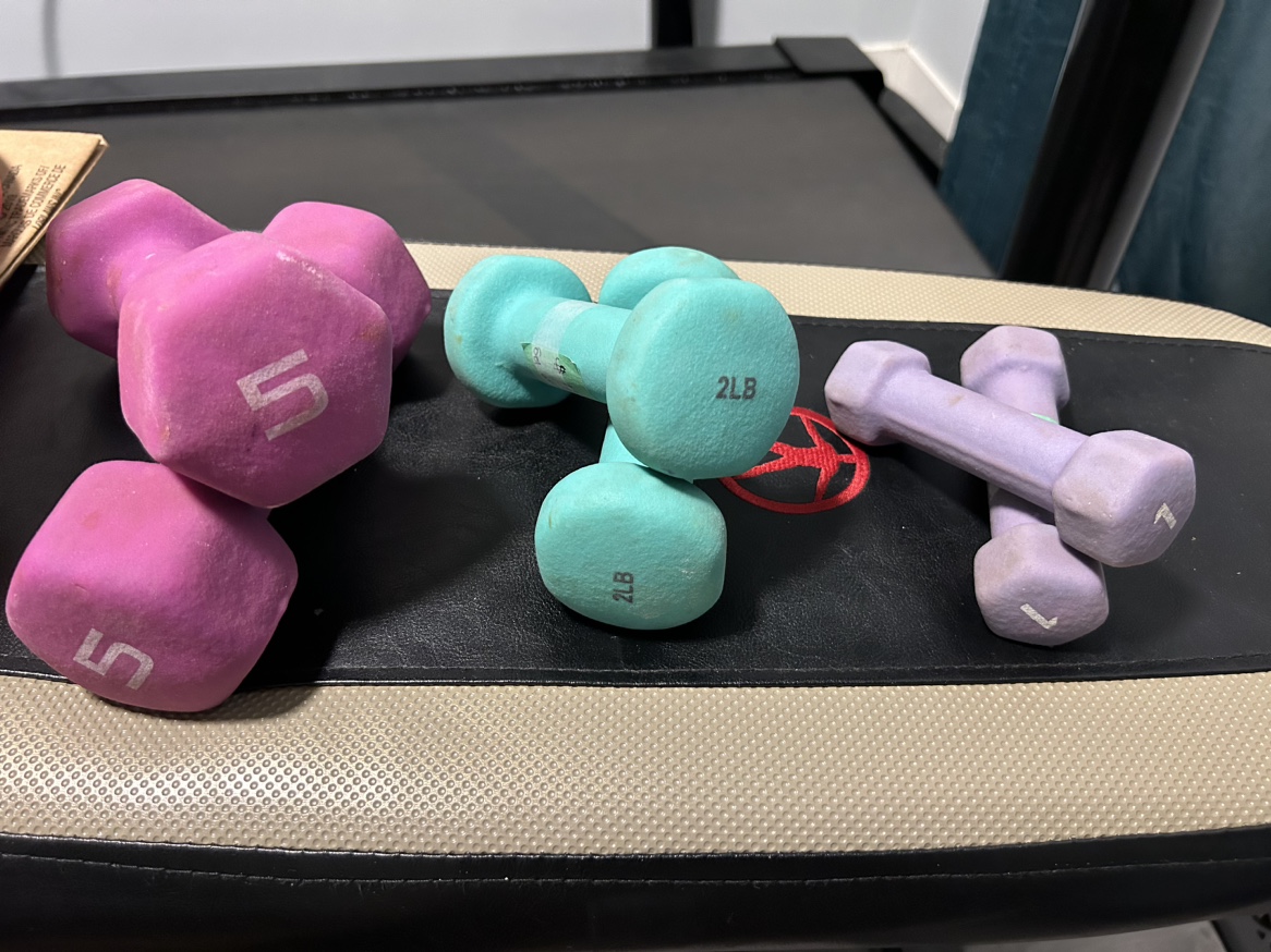 Set of Dumbbells lot