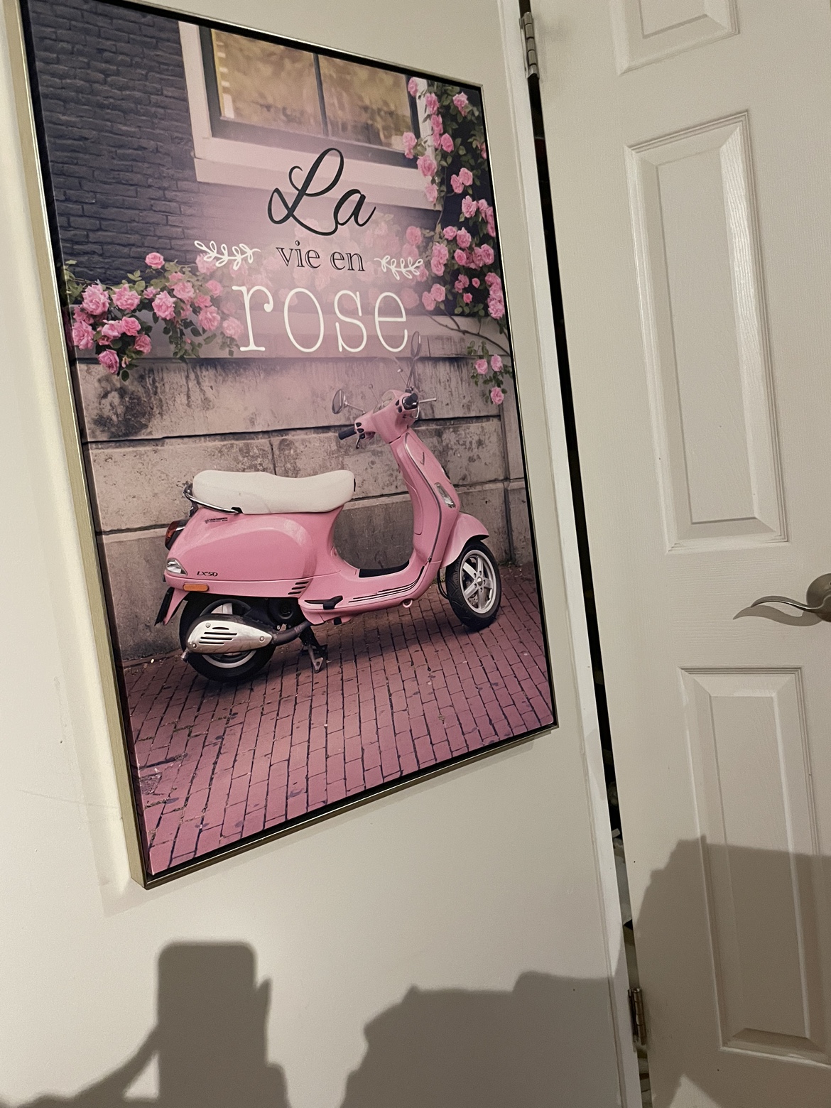 La Vie en Rose Framed Canvas Print - photo 2