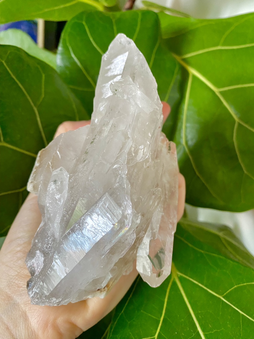 Unique Curved Quartz Crystal Cluster image indicator(4)