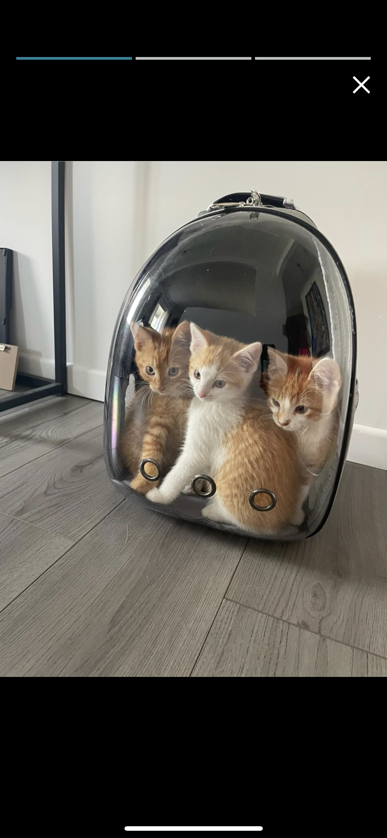Pet Carrier Backpack thumbnail