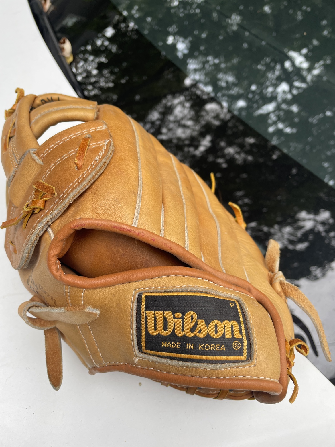 Wilson Youth Baseball Glove