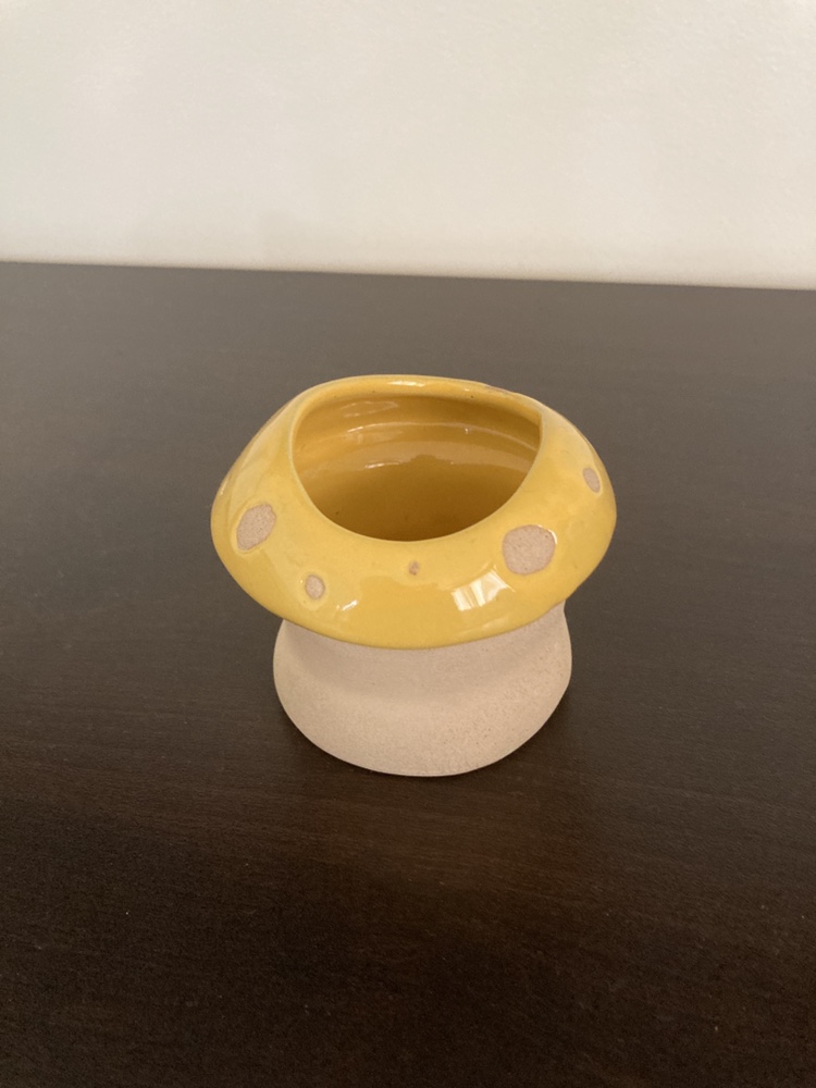 Succulent plant pot