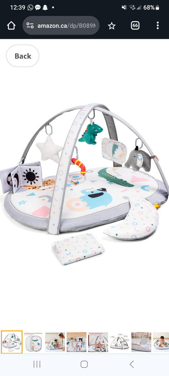 Baby Play Mat and Activity Gym thumbnail