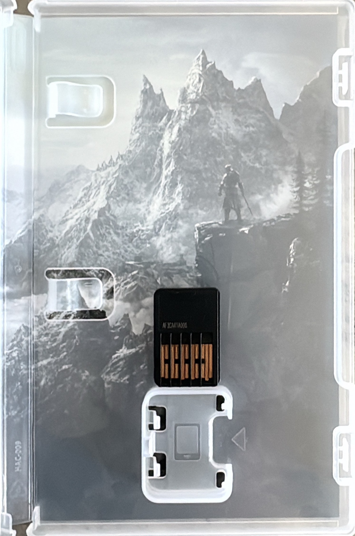 The Elder Scrolls V: Skyrim (Nintendo Switch) image indicator(3)